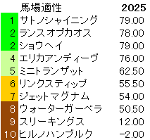 2025　きさらぎ賞　馬場適性指数